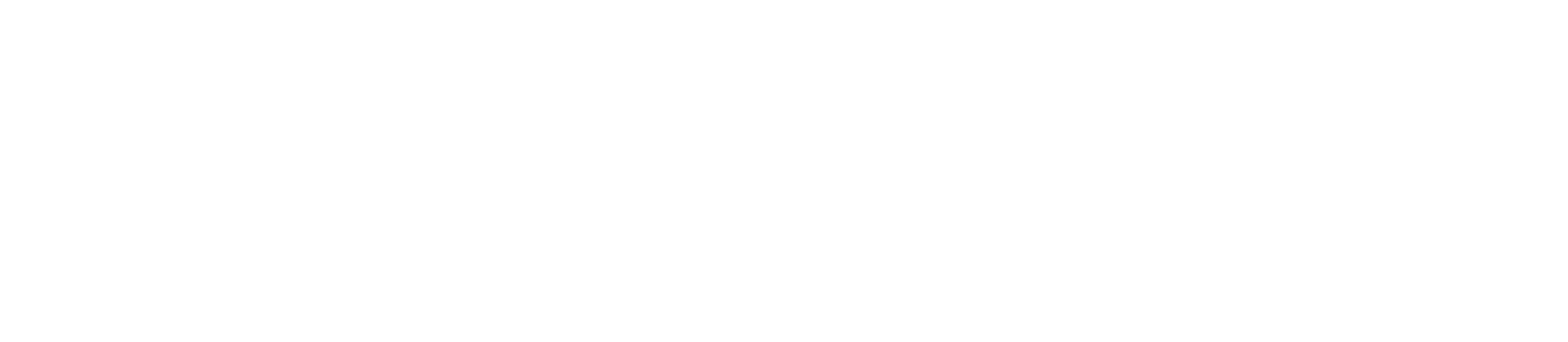 Losung Consult logo